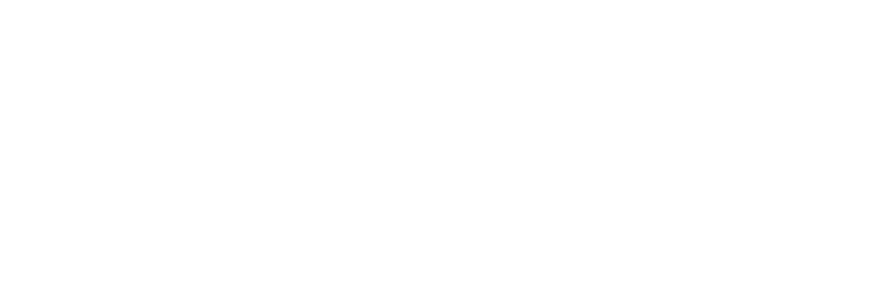 Google image